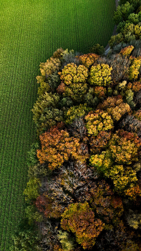 Huis 1 Van 1 8 576x1024